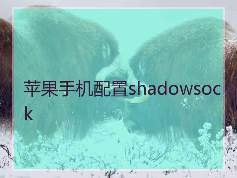 苹果手机配置shadowsock