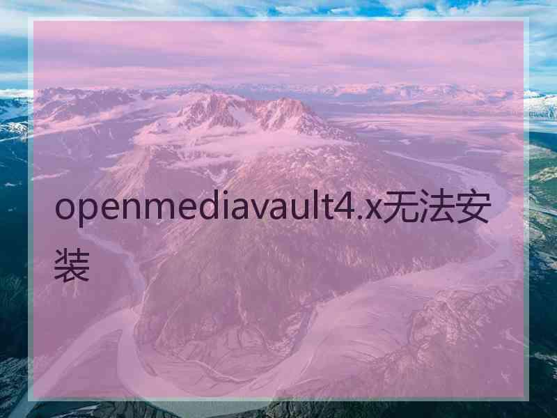 openmediavault4.x无法安装