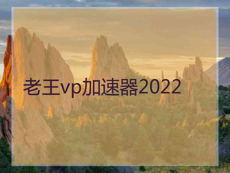 老王vp加速器2022