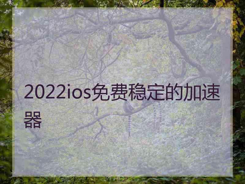 2022ios免费稳定的加速器