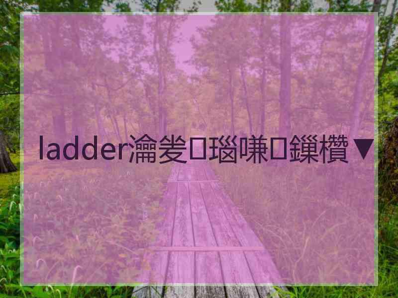 ladder瀹夎瑙嗛鏁欑▼