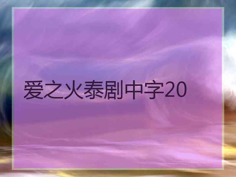 爱之火泰剧中字20