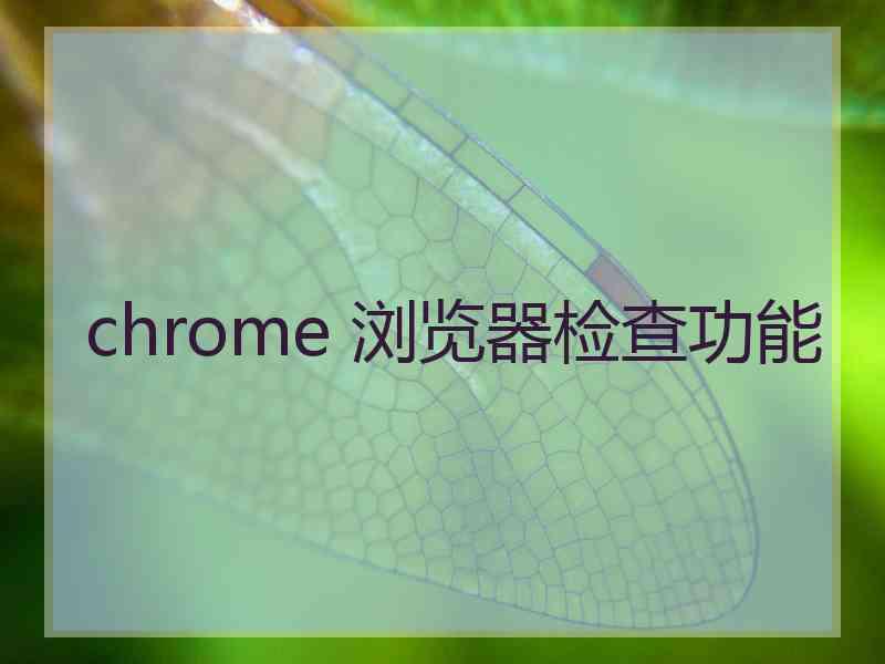 chrome 浏览器检查功能