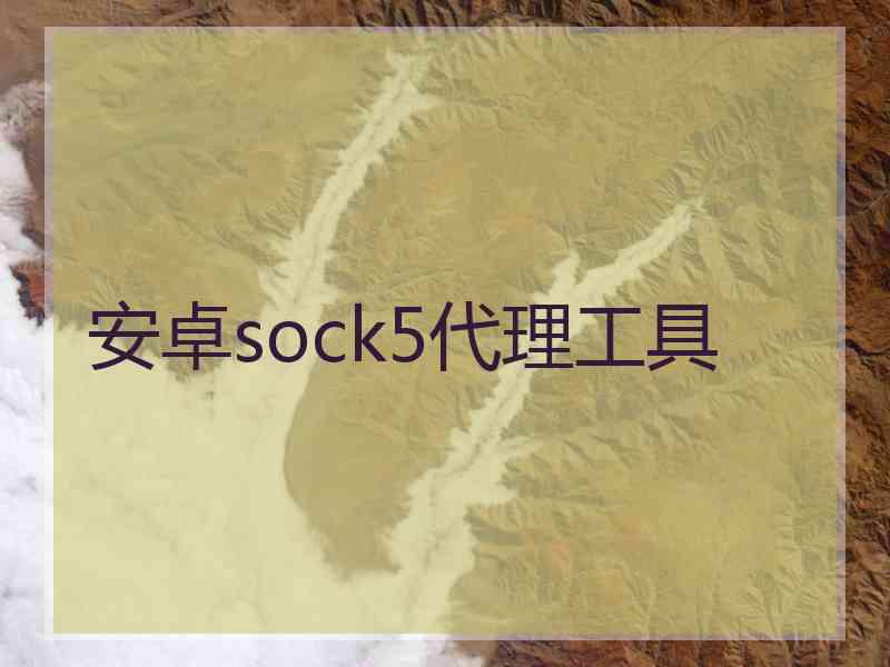 安卓sock5代理工具