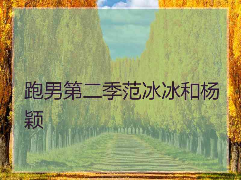 跑男第二季范冰冰和杨颖