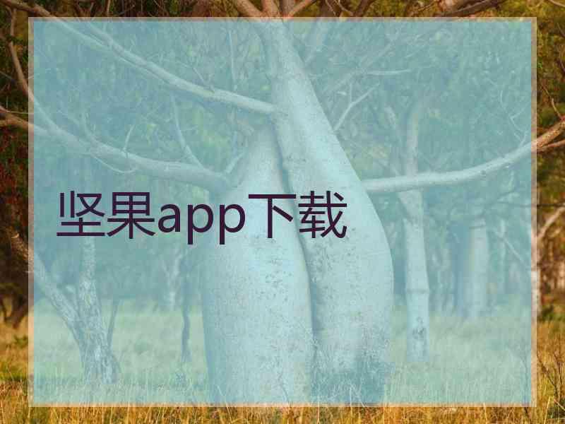 坚果app下载