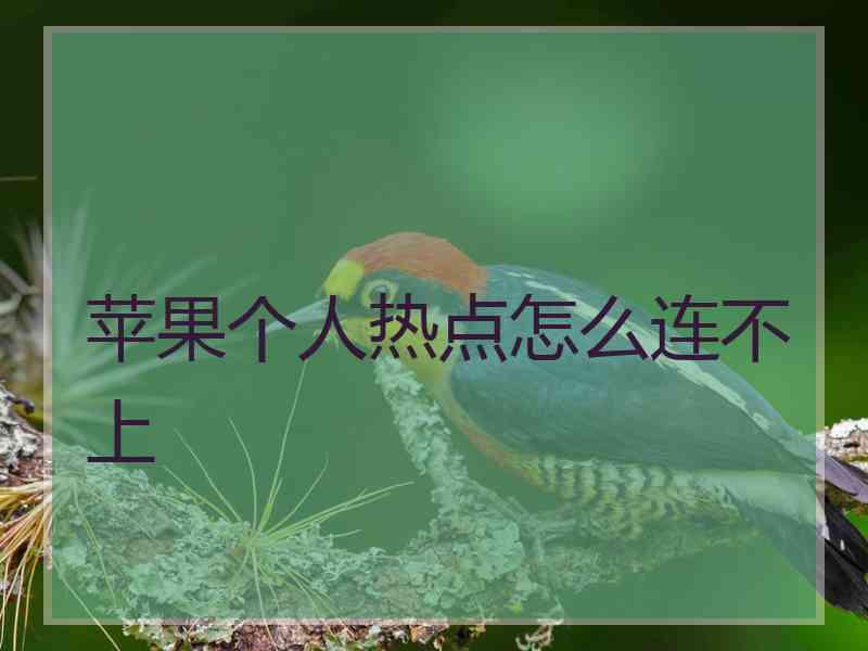 苹果个人热点怎么连不上