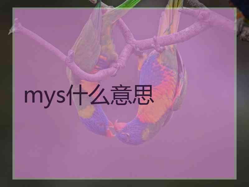 mys什么意思