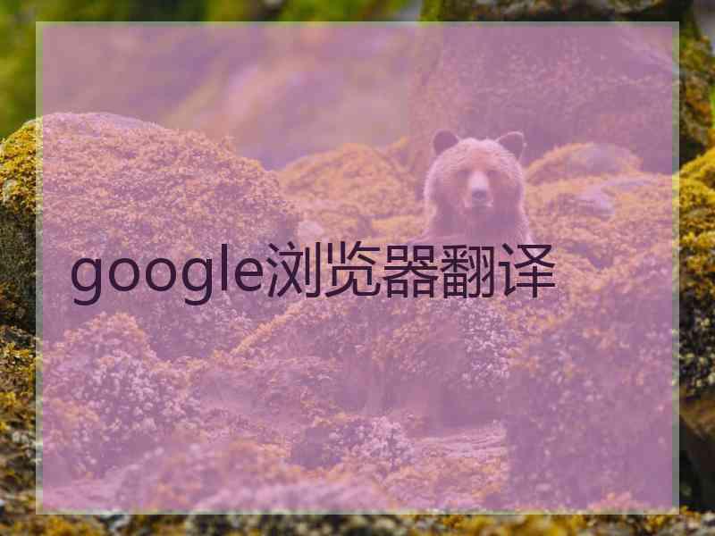 google浏览器翻译