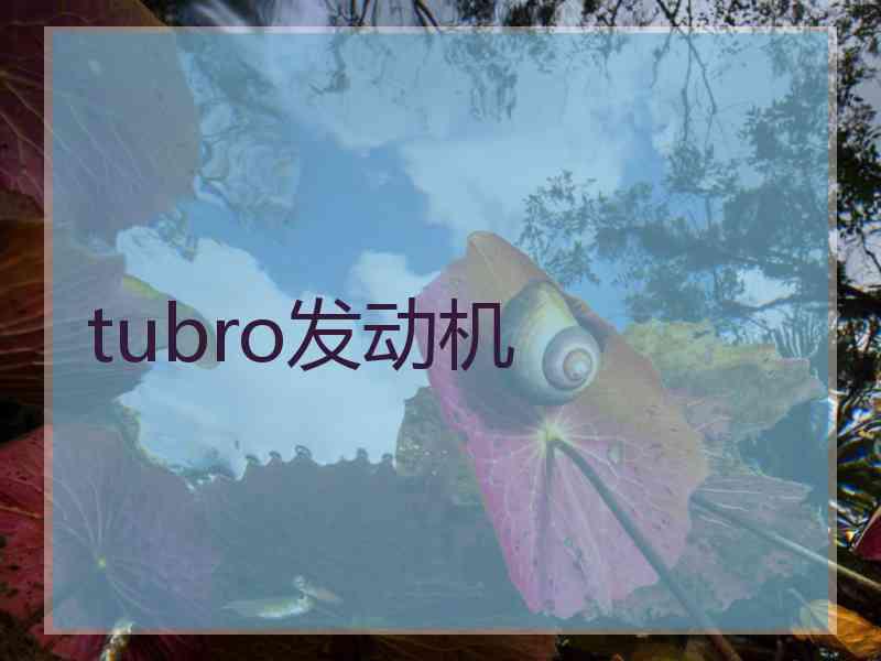 tubro发动机