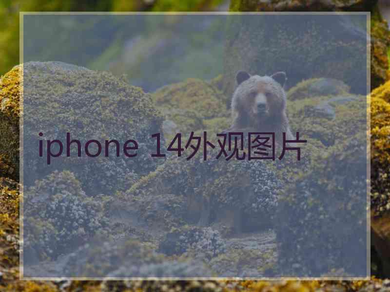 iphone 14外观图片