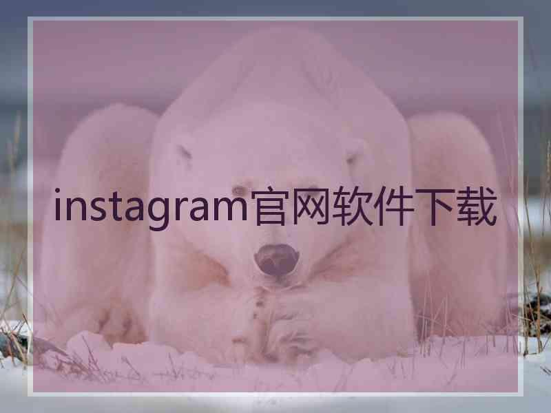 instagram官网软件下载