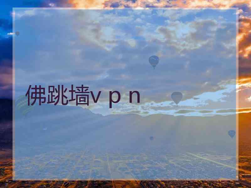 佛跳墙v p n