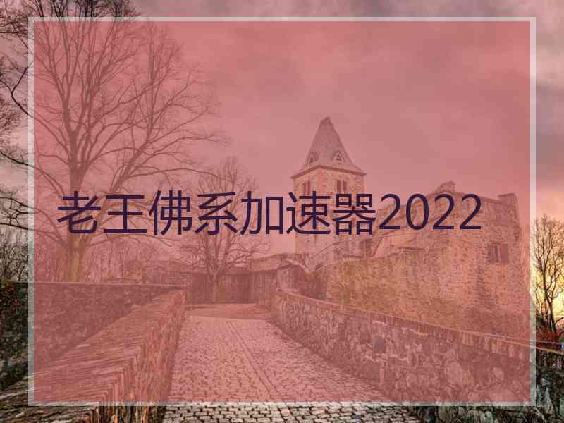 老王佛系加速器2022