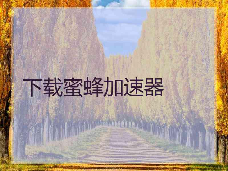 下载蜜蜂加速器