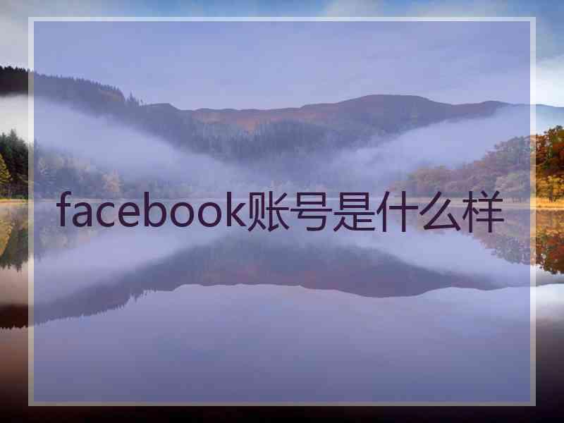 facebook账号是什么样