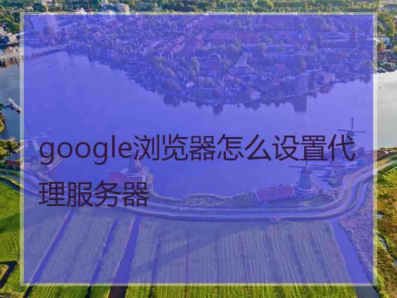 google浏览器怎么设置代理服务器