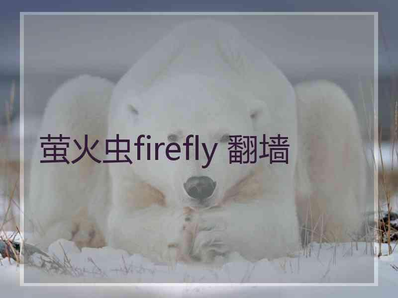 萤火虫firefly 翻墙