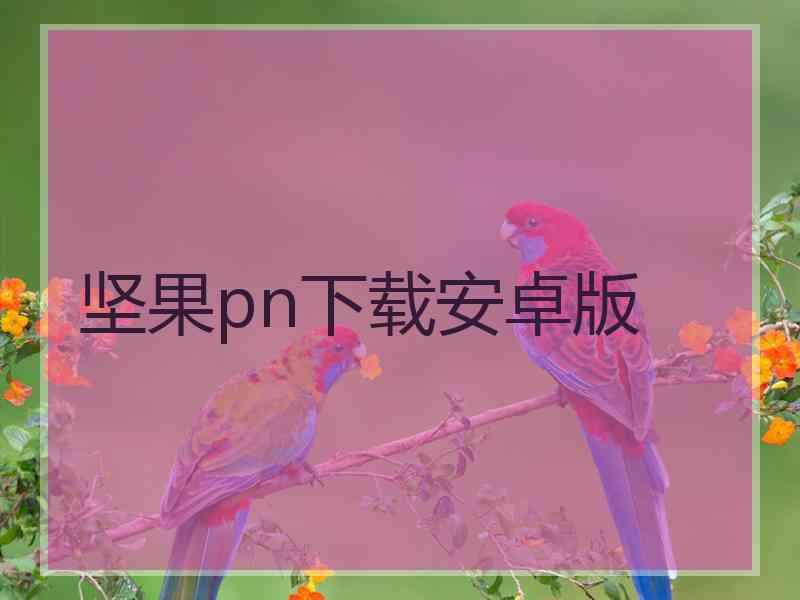 坚果pn下载安卓版