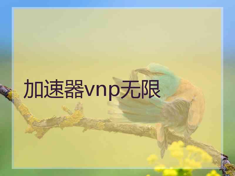 加速器vnp无限