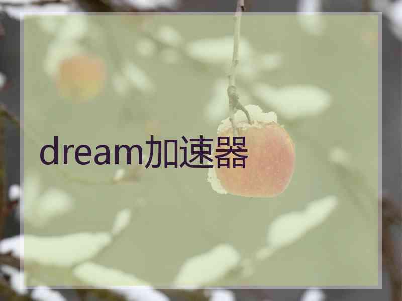 dream加速器