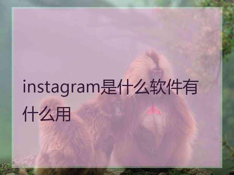 instagram是什么软件有什么用