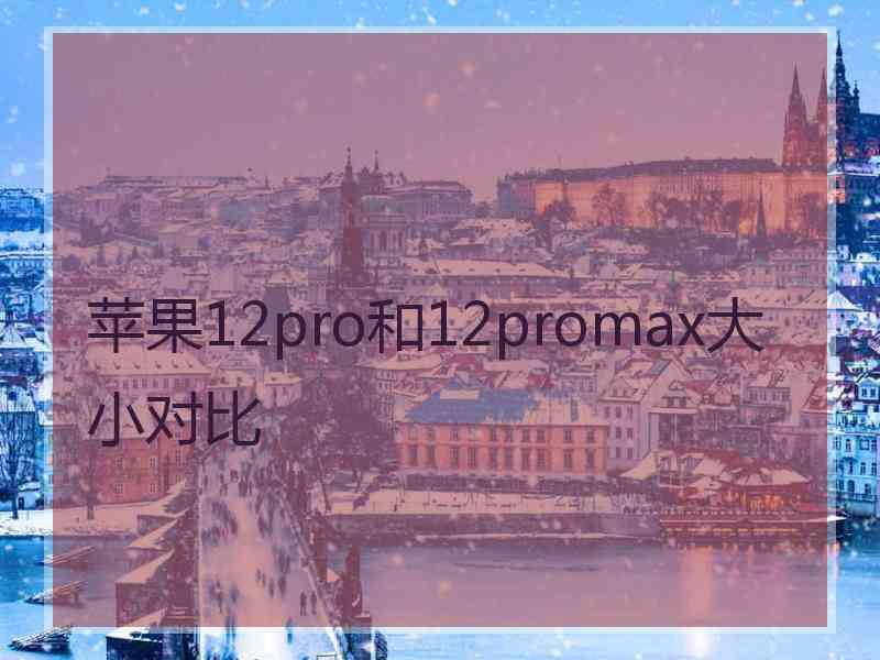 苹果12pro和12promax大小对比