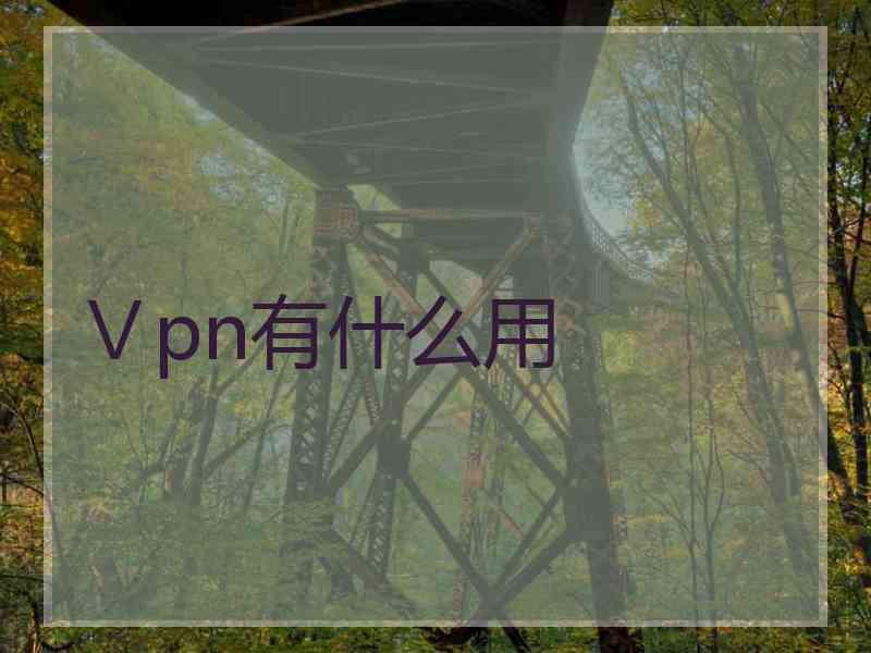 Ⅴpn有什么用