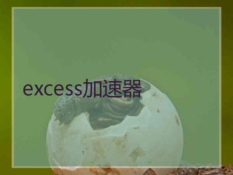 excess加速器