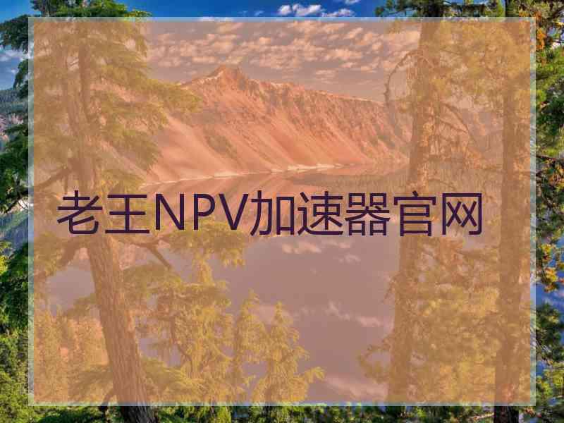 老王NPV加速器官网