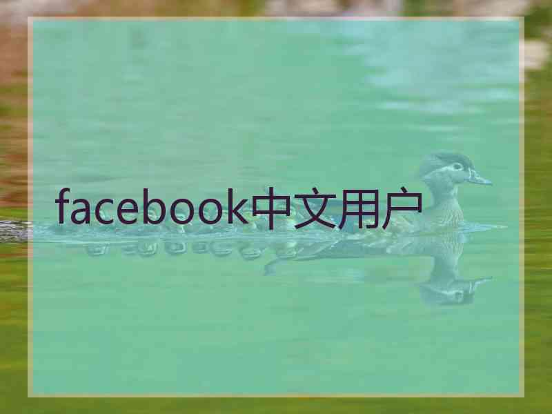 facebook中文用户