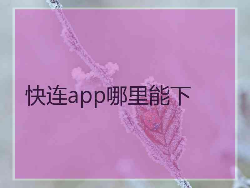 快连app哪里能下