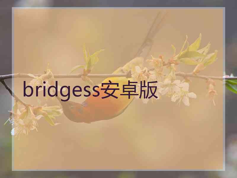 bridgess安卓版