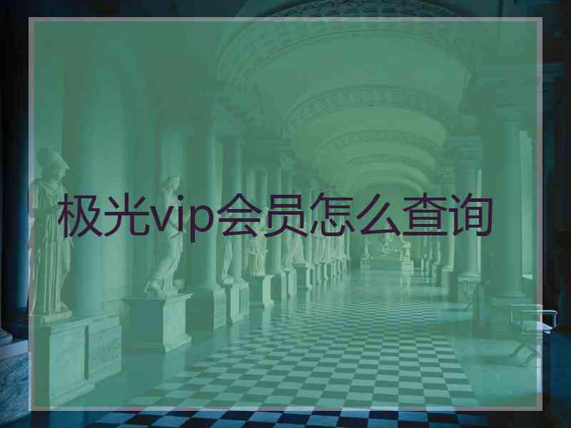 极光vip会员怎么查询