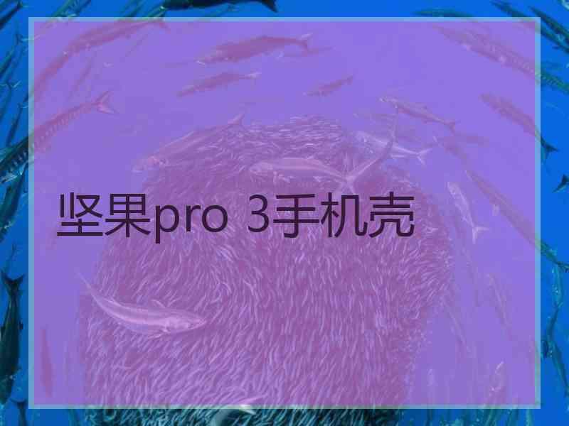 坚果pro 3手机壳