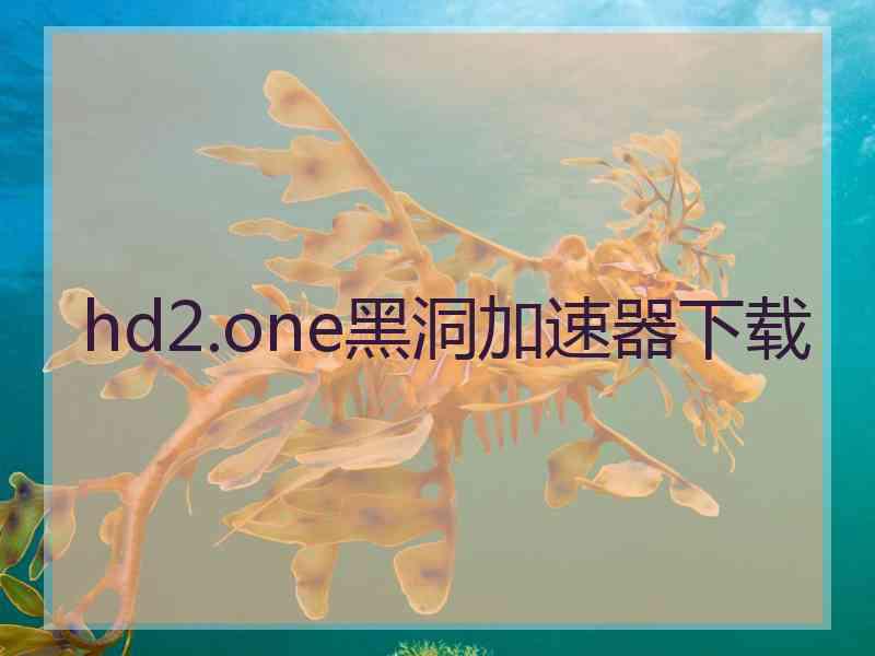 hd2.one黑洞加速器下载