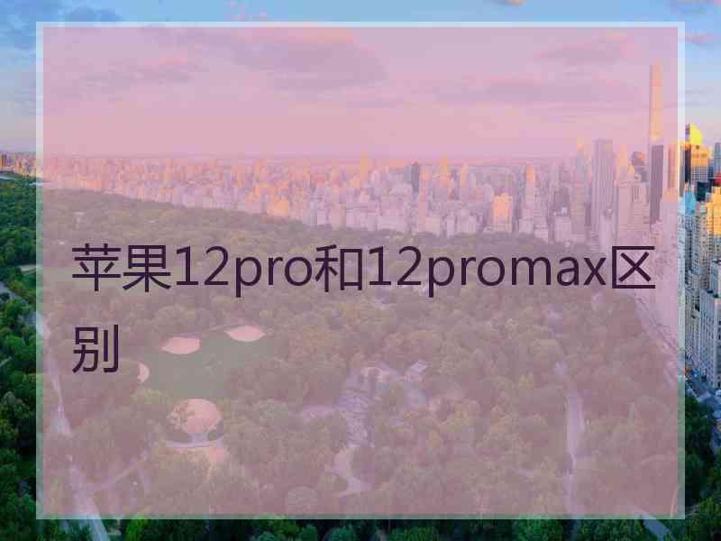 苹果12pro和12promax区别