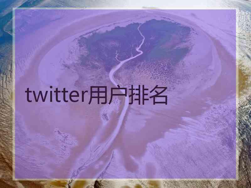 twitter用户排名