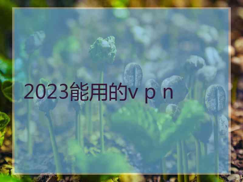 2023能用的v p n