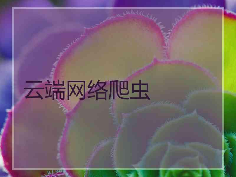 云端网络爬虫