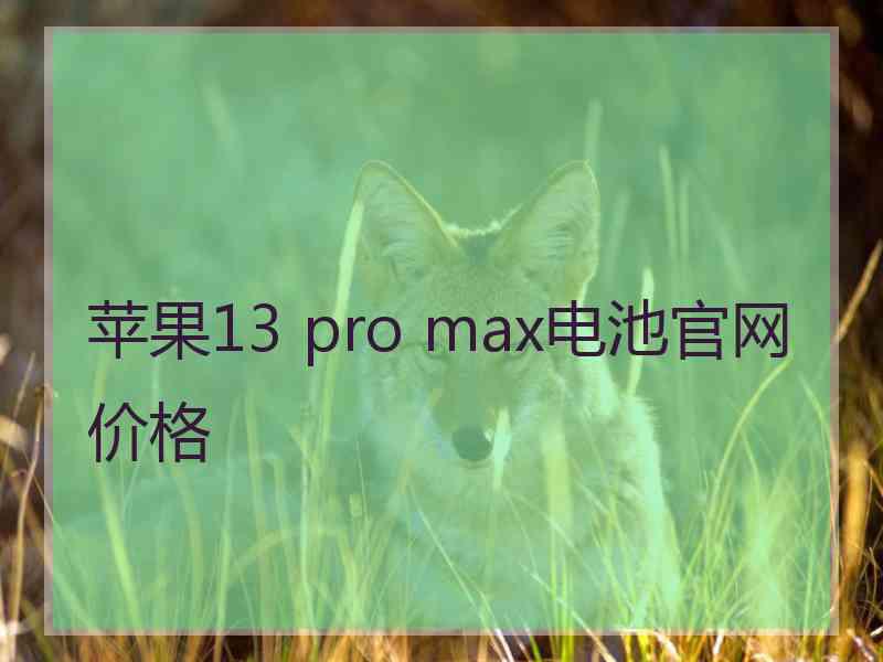 苹果13 pro max电池官网价格