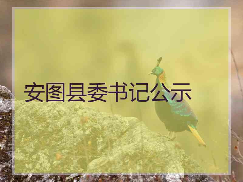 安图县委书记公示