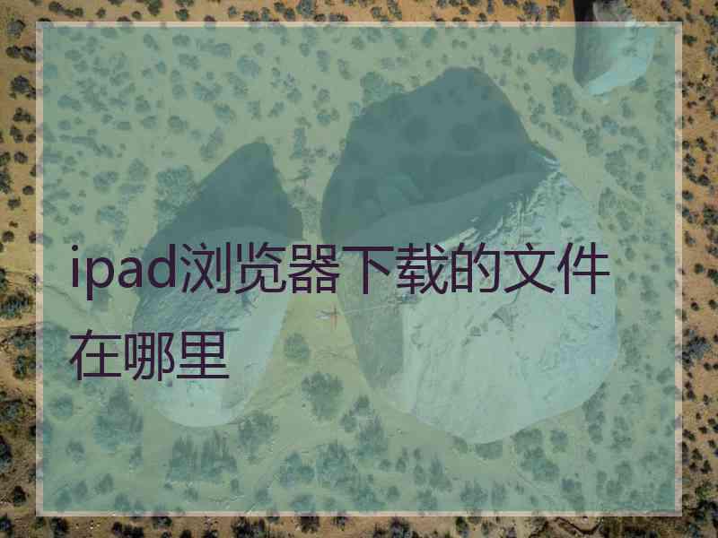 ipad浏览器下载的文件在哪里