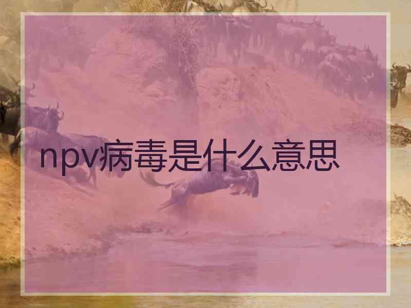 npv病毒是什么意思