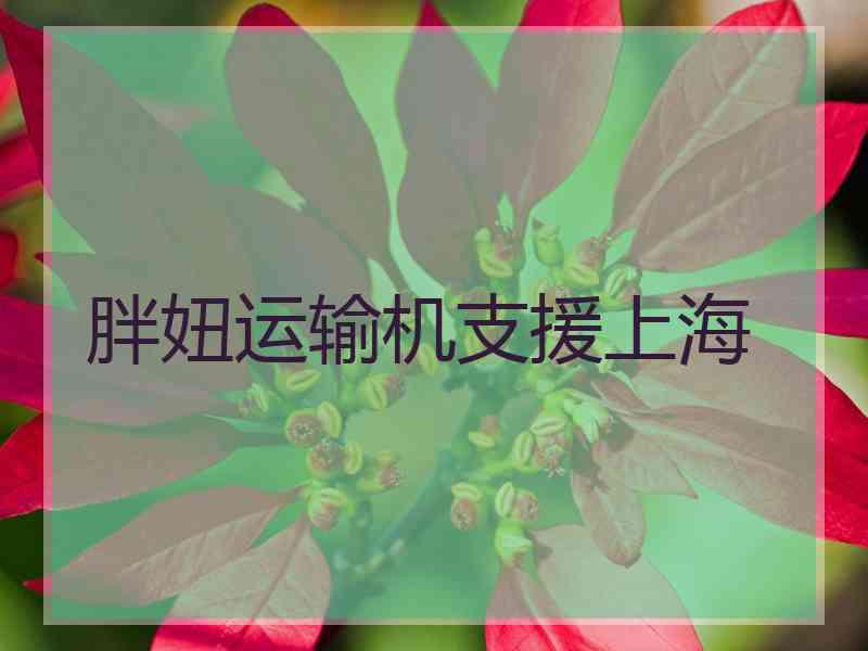 胖妞运输机支援上海