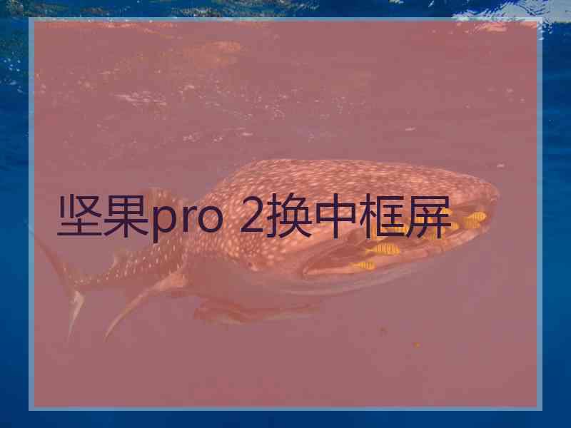 坚果pro 2换中框屏