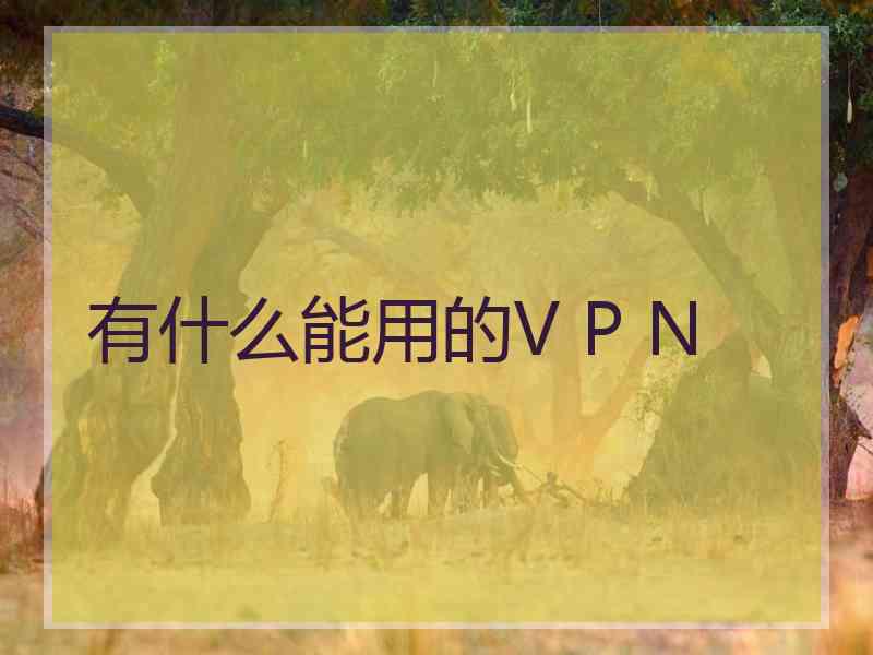 有什么能用的V P N