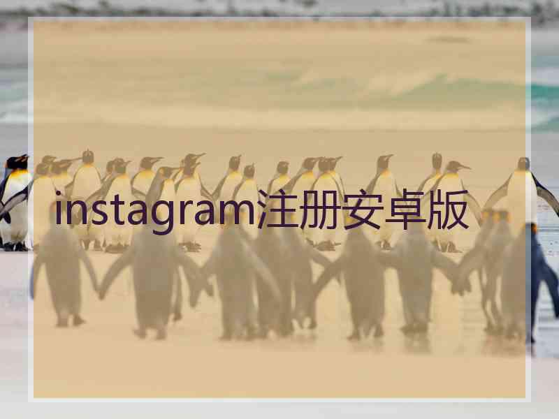 instagram注册安卓版