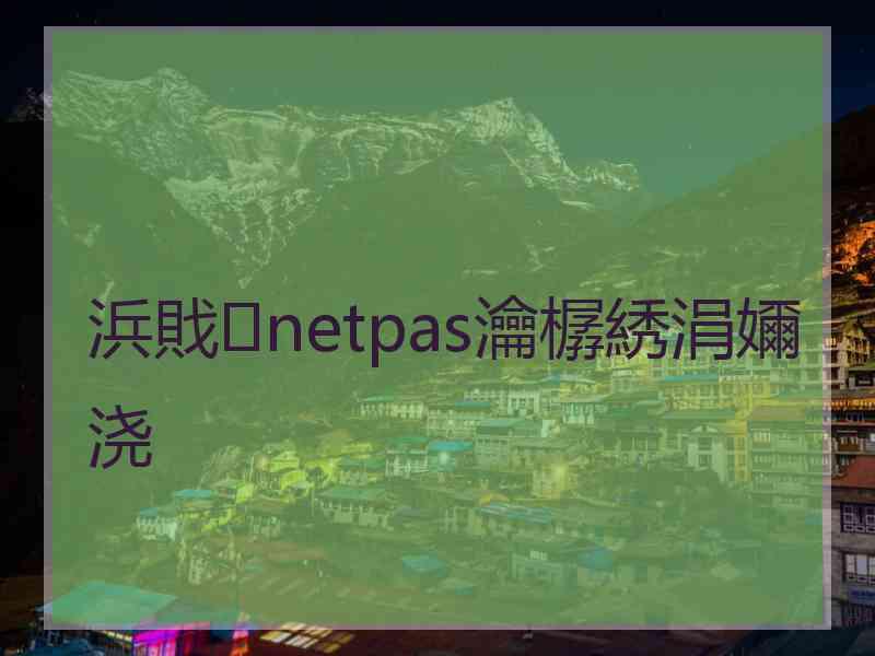 浜戝netpas瀹樼綉涓嬭浇