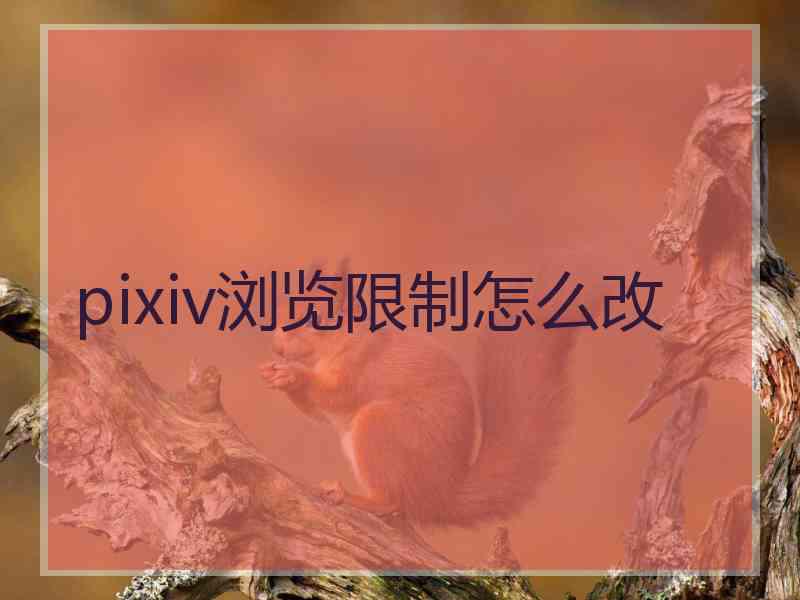 pixiv浏览限制怎么改